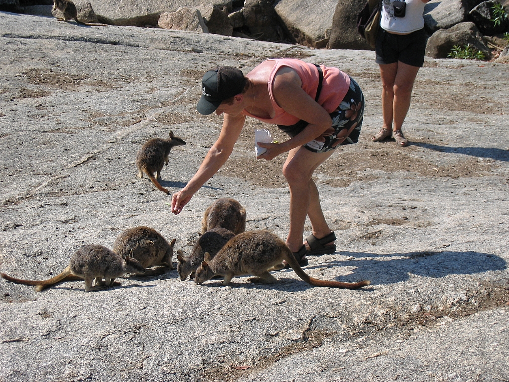 CairnsTC118 Granite Gorge.jpg